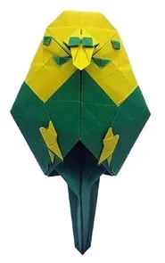 Budgie