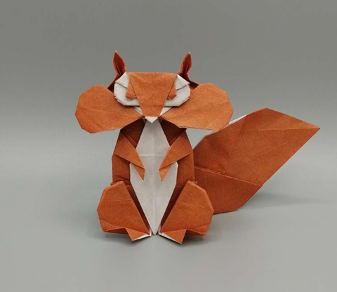 Squirrel