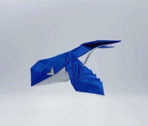 Flying whale