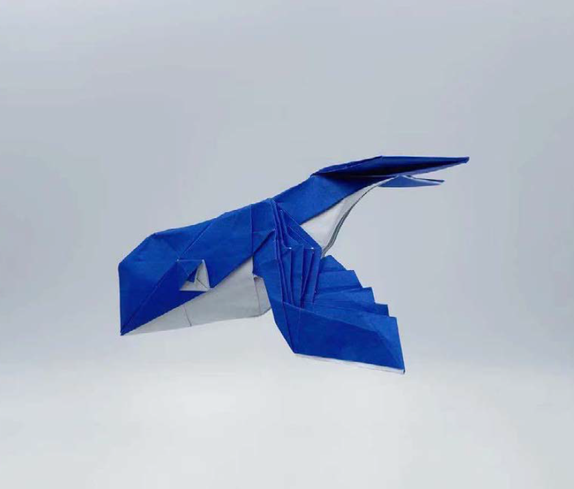 Flying whale