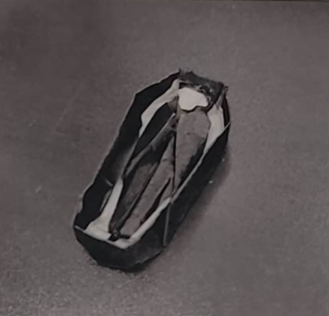 Vampire in a coffin