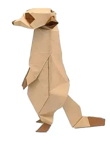 Meerkat