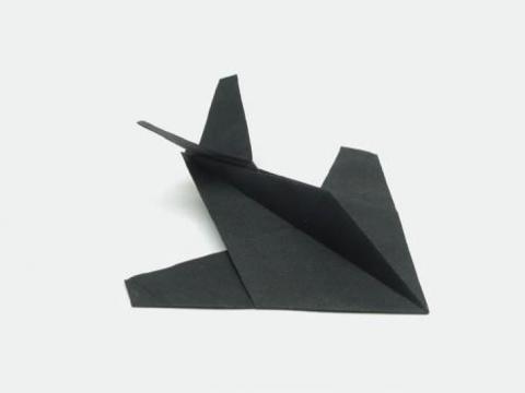 Stealth fighter