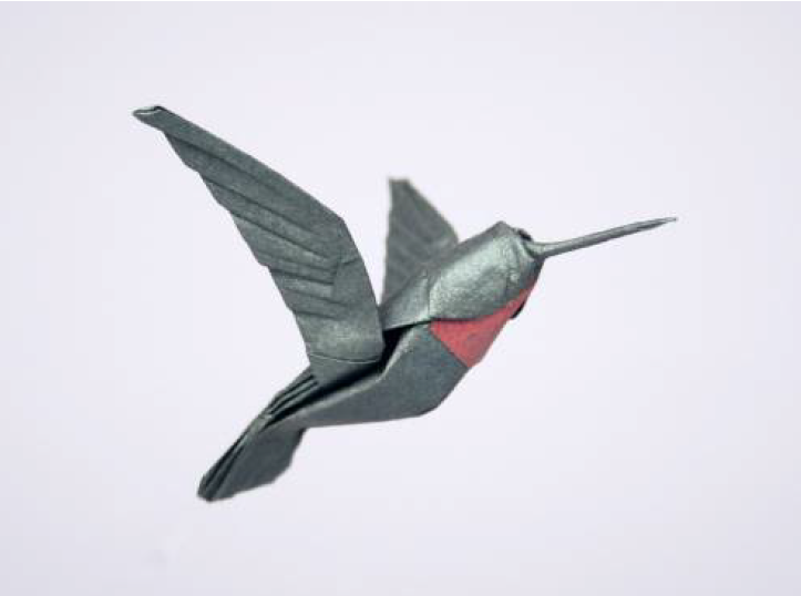 Hummingbird - ruby throated