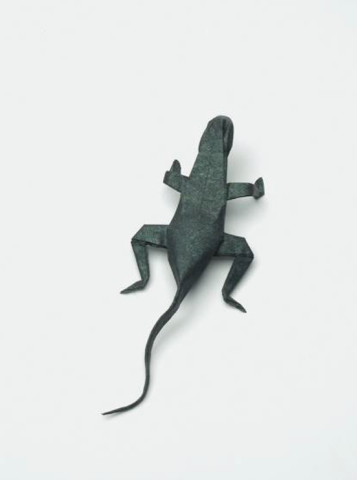 Lizard