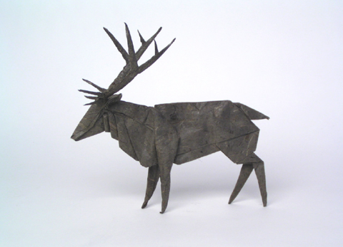 Roosevelt elk
