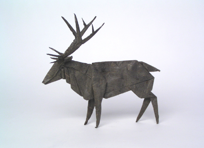 Roosevelt elk