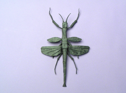Flying walking stick