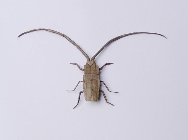 Longhorn beetle