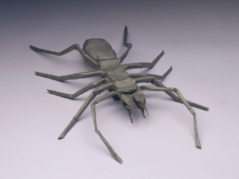 Camel spider