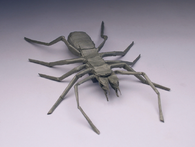 Camel spider