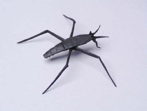 Water strider