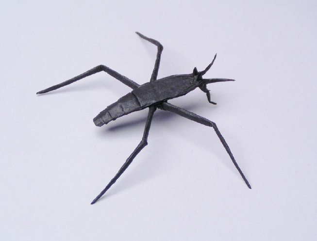 Water strider
