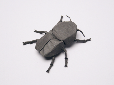 Scarab beetle
