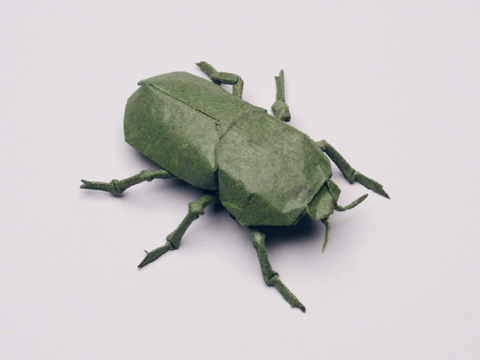 Scarab beetle