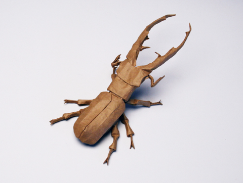 Cyclommatus metallifer