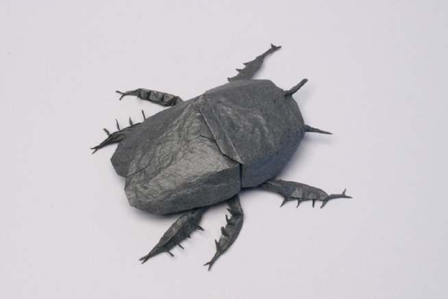 Spur-legged dung beetle