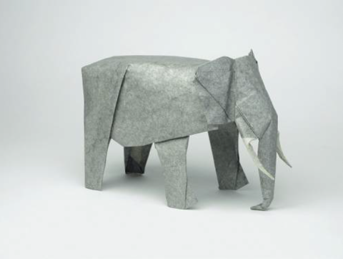 Elephant - African