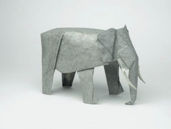 Elephant - African