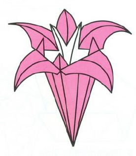 Five Point Lily