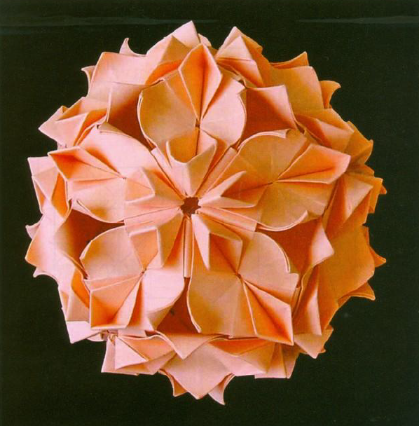 Camellia