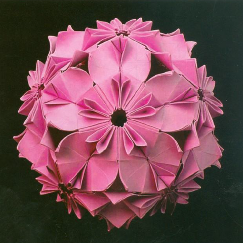 Camellia