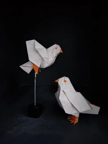 Dove