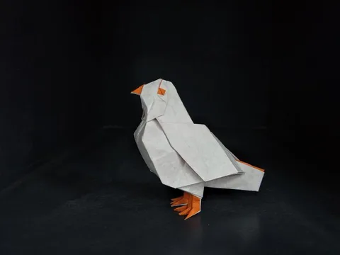 Dove