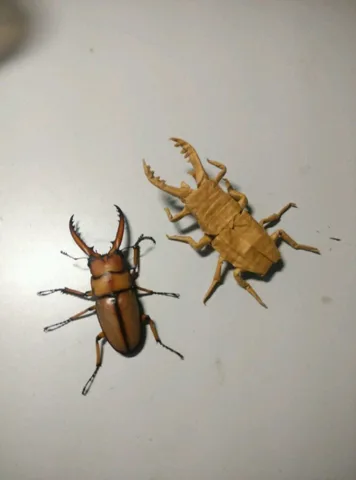 Stag beetle