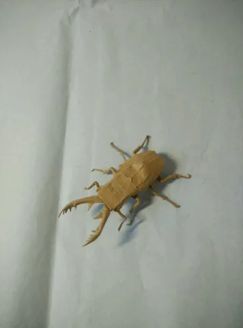 Stag beetle