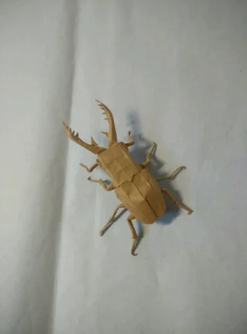 Stag beetle