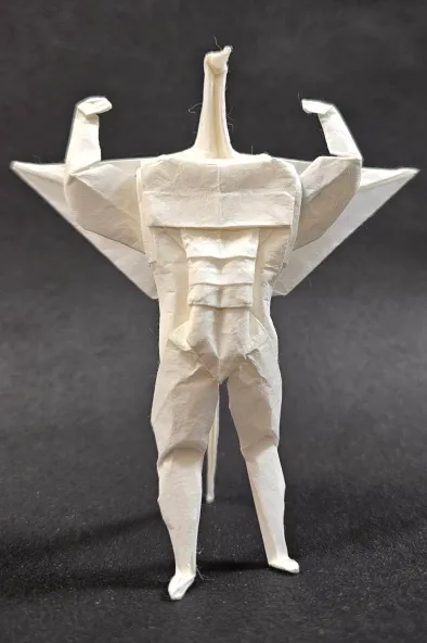 Cranevolution