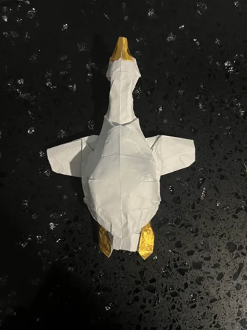 Duck