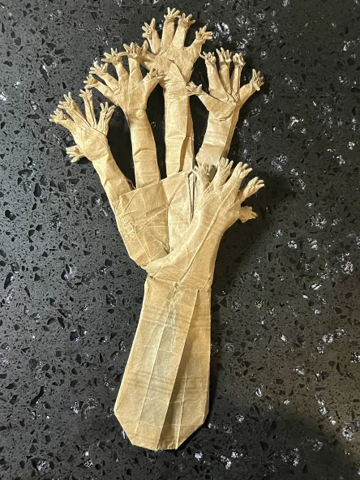 Hand