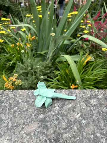 Dragonfly