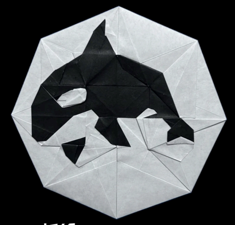 Killer Whale Coin