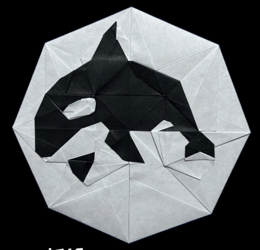 Killer Whale Coin