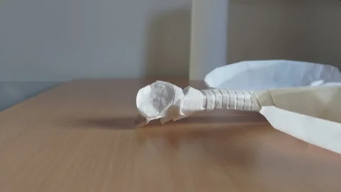 Lungs