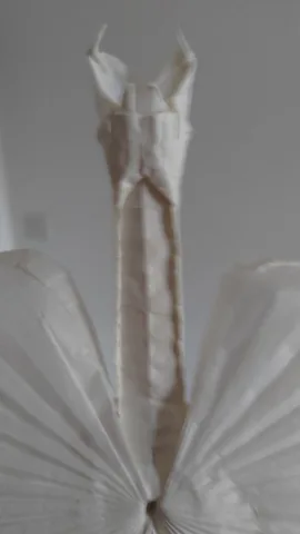 Lungs