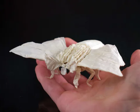 Silk Moth