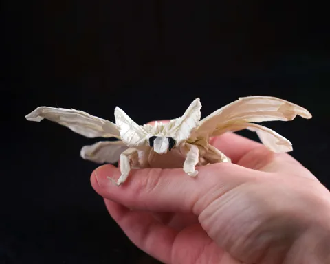 Silk Moth