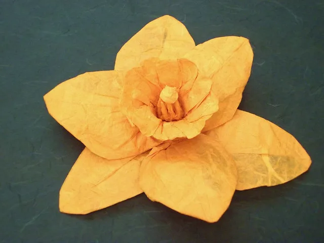 Daffodil