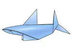 Shark