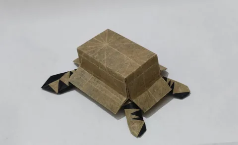 Cardboard Cat␠