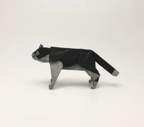 Cat — паттерн
