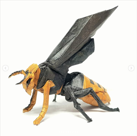 Wasp
