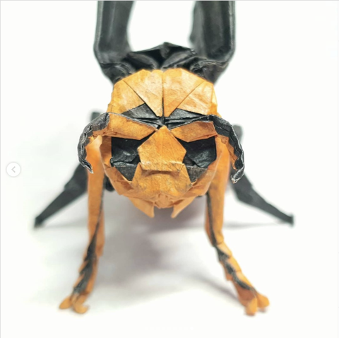 Wasp