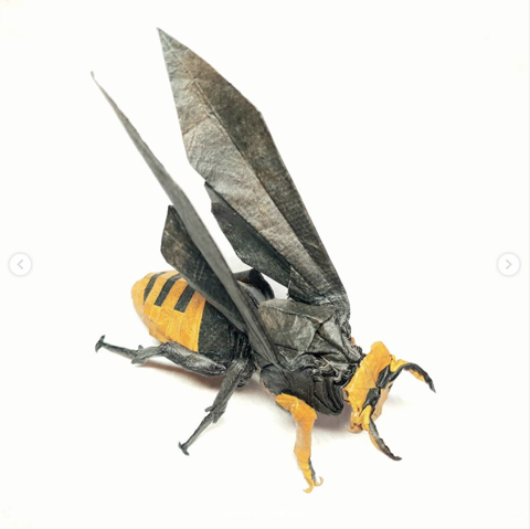 Wasp