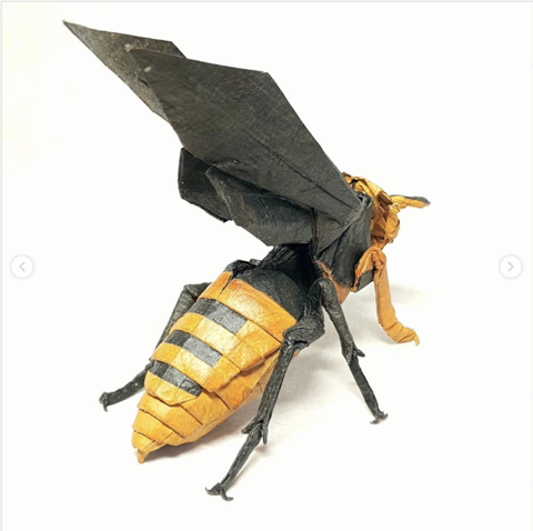 Wasp