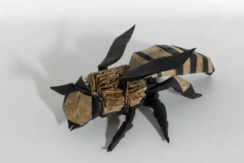 Bee